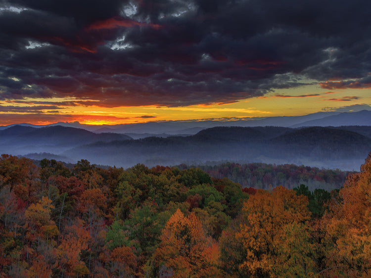 Smokies Sunrise Oil Paint