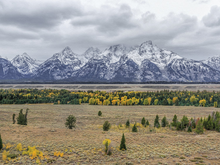 Teton Fall Colors