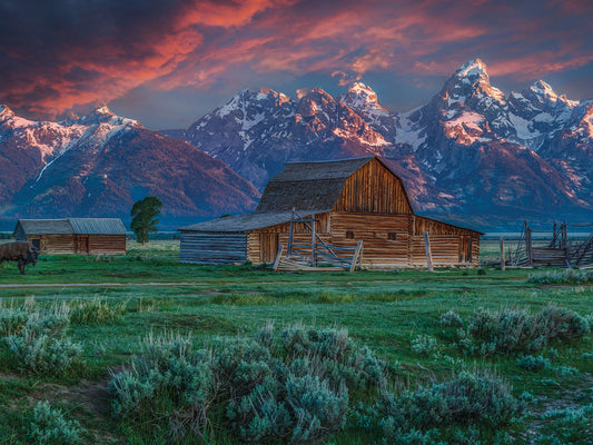 Grand Teton Mormon Barn At Sunrise Canvas Art