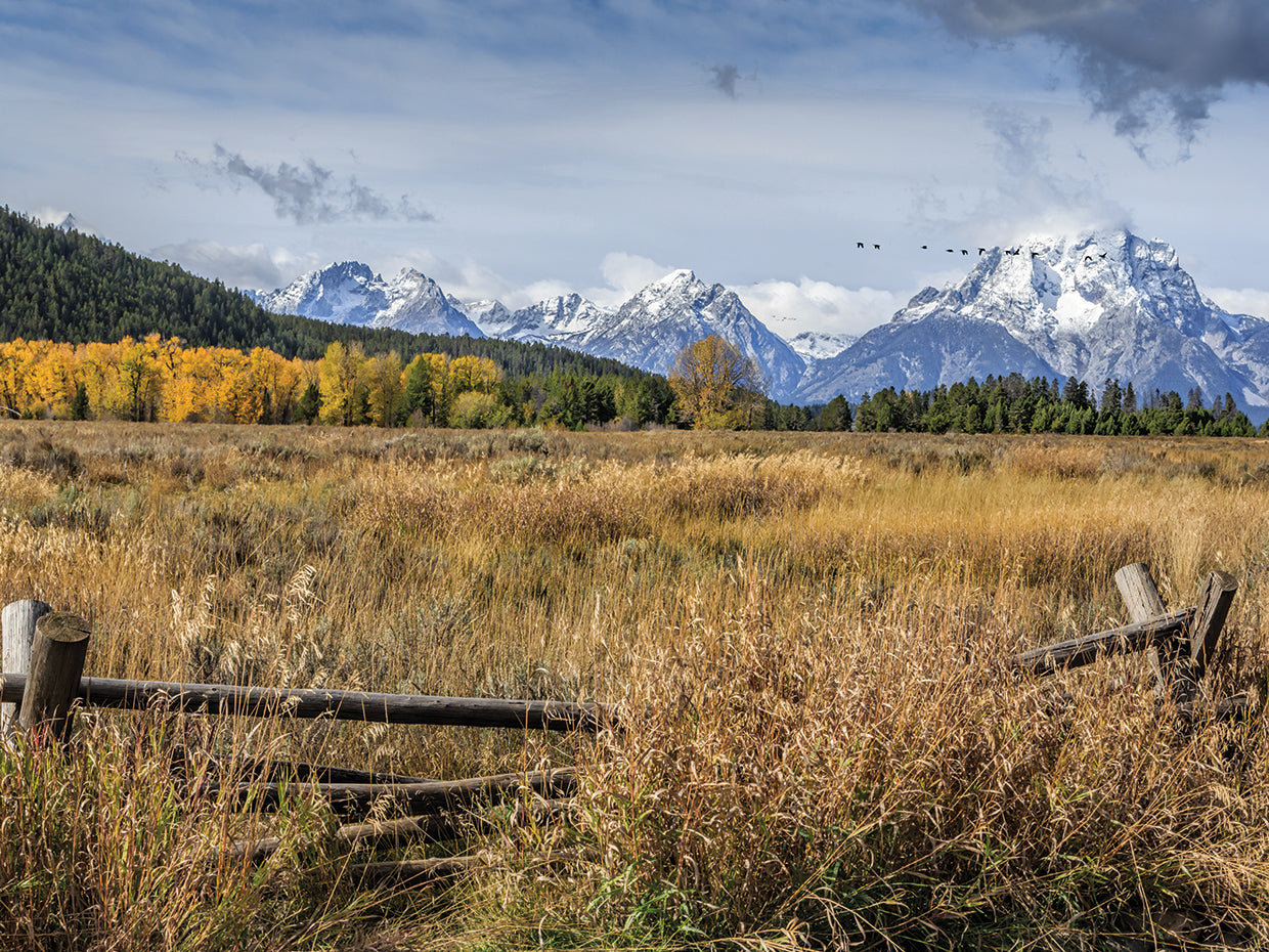 GTNP Scene Mt. Moran