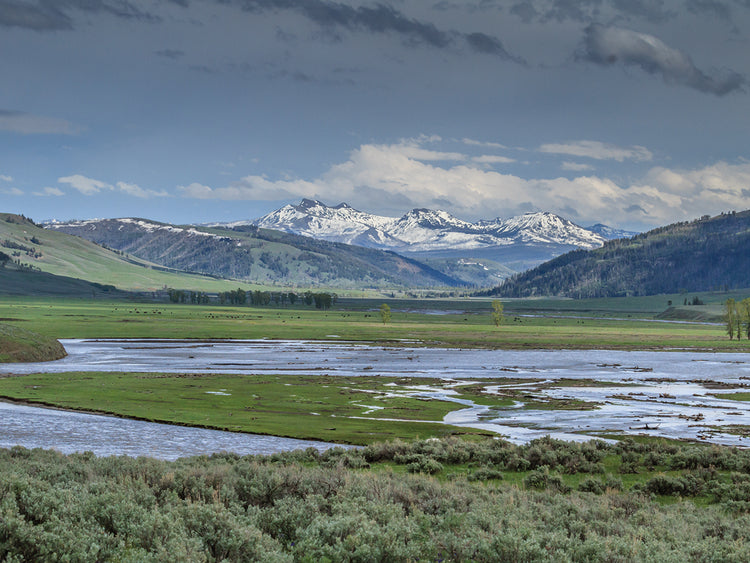 Lamar Valley