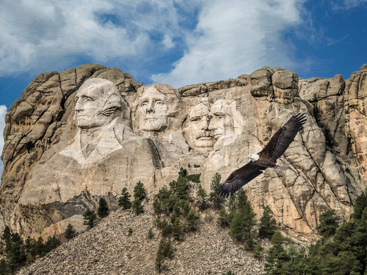 Mount Rushmore And Eagle Canvas Art