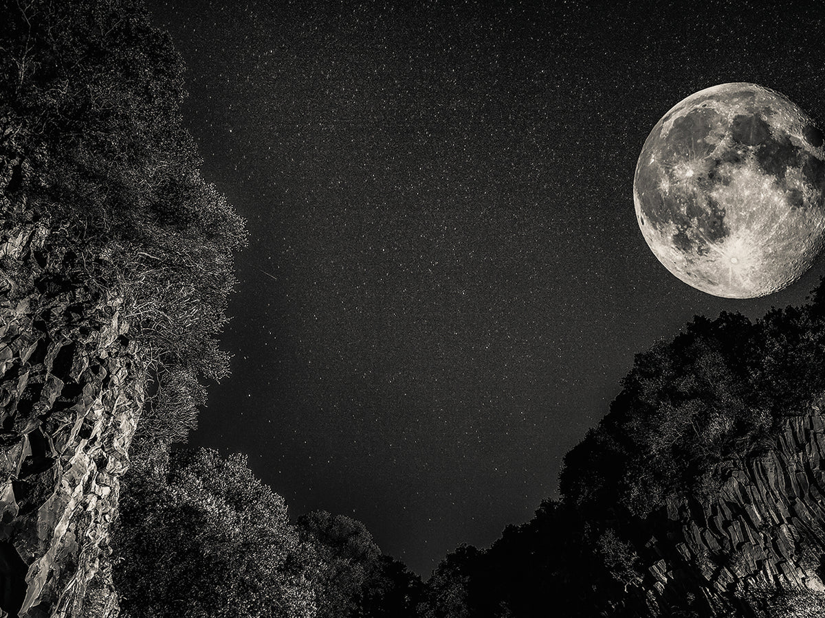 Stars at night B&W