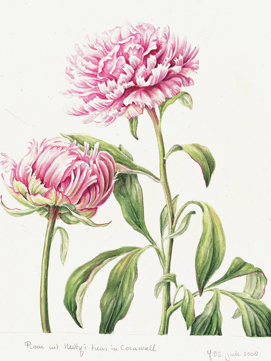 July Bouquet