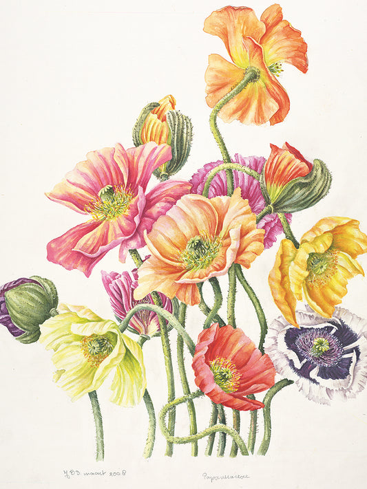 Poppy Bouquet Canvas Art