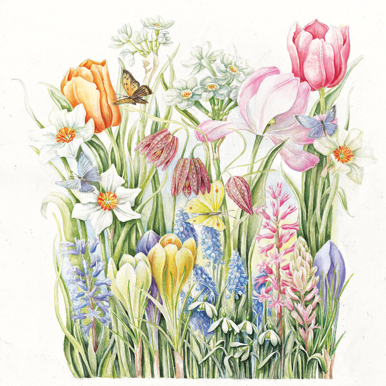 2013 March Bouquet By Janneke Brinkman Salentijn FineArtCanvas 2013-march-bouquet-by-janneke-brinkman-salentijn-fineartcanvas
