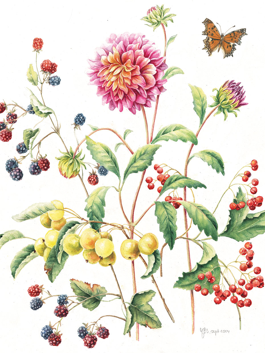 September Dahlia