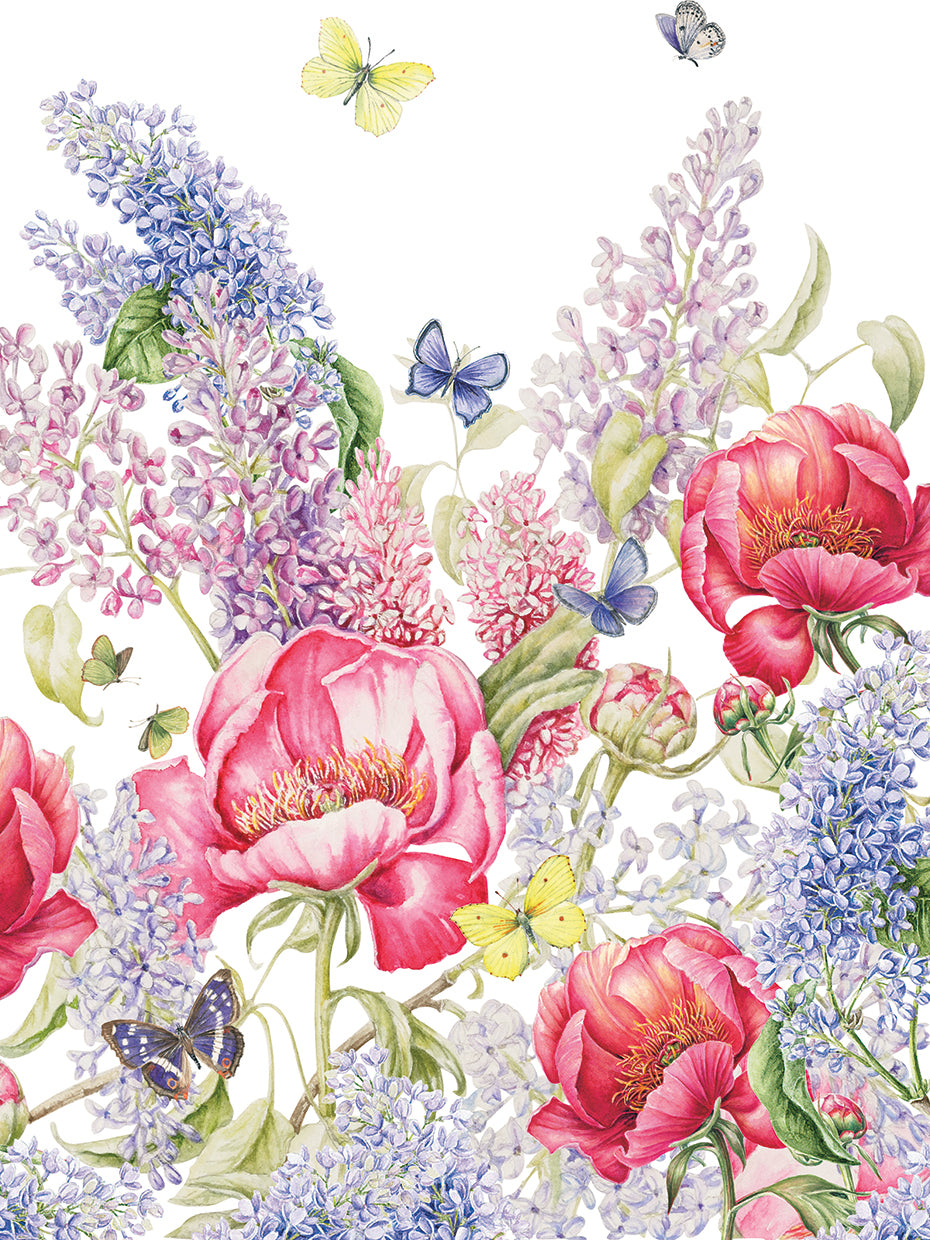 Paeonia and Syringa