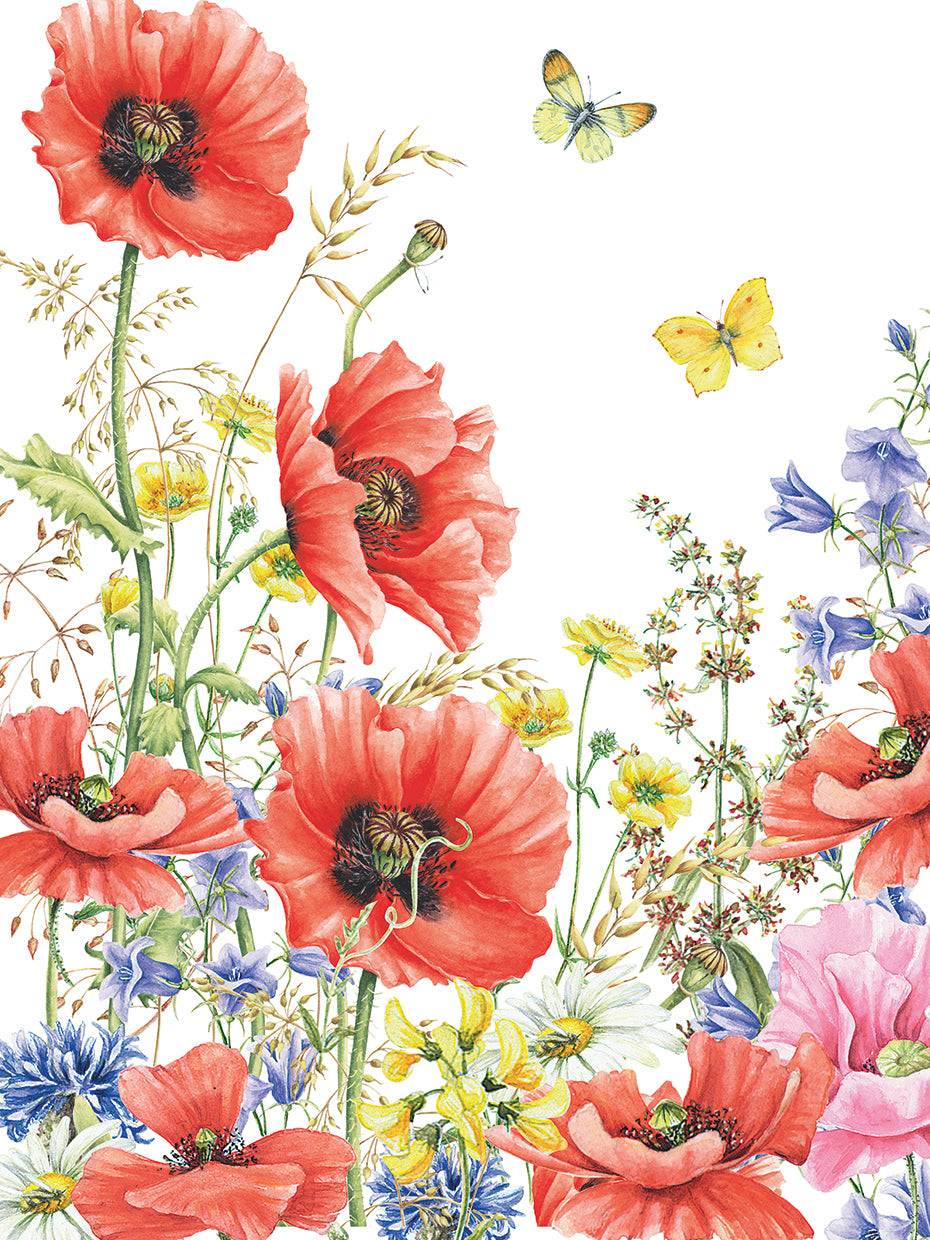 Poppies