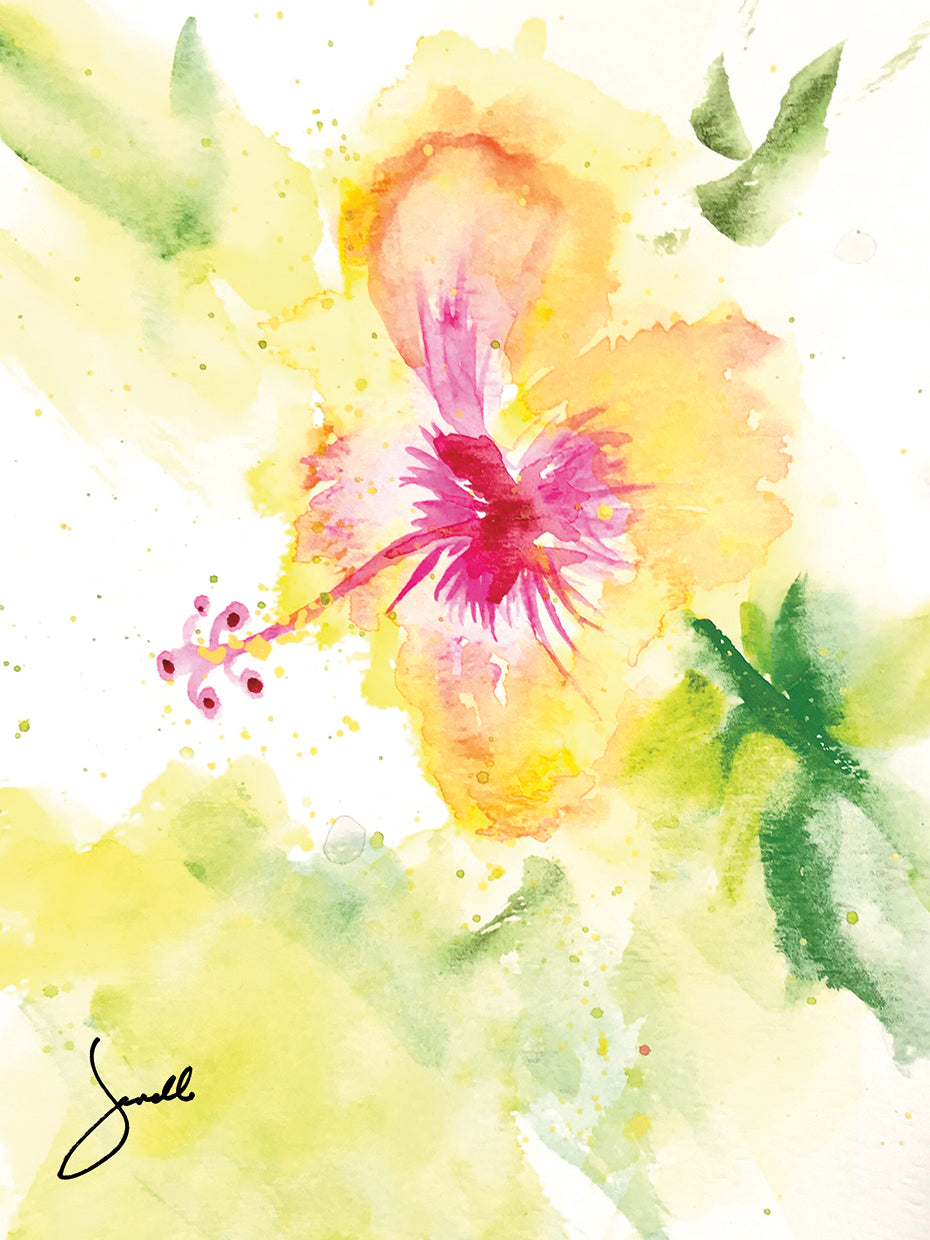 Hibiscus