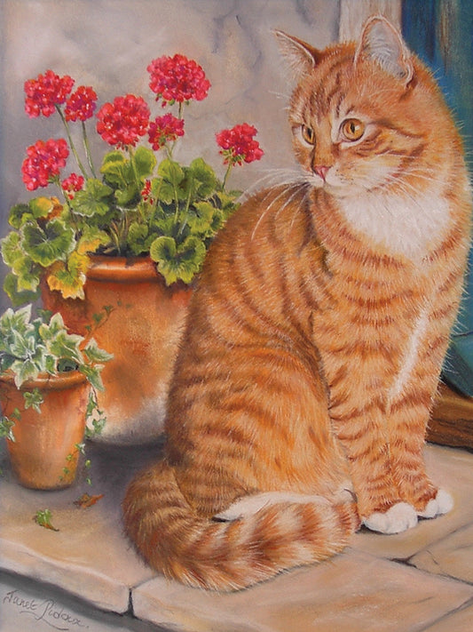 Ginger Cat On Doorstep Canvas Print
