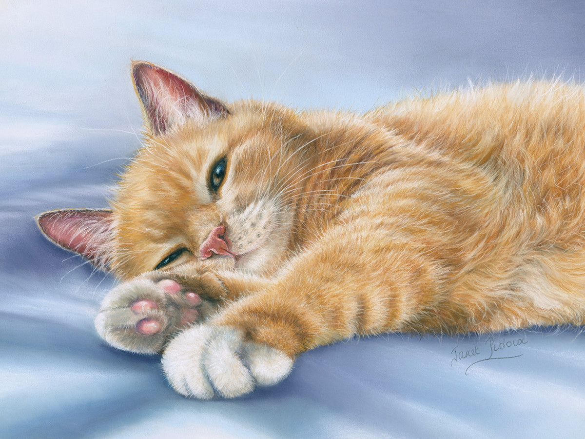Jack