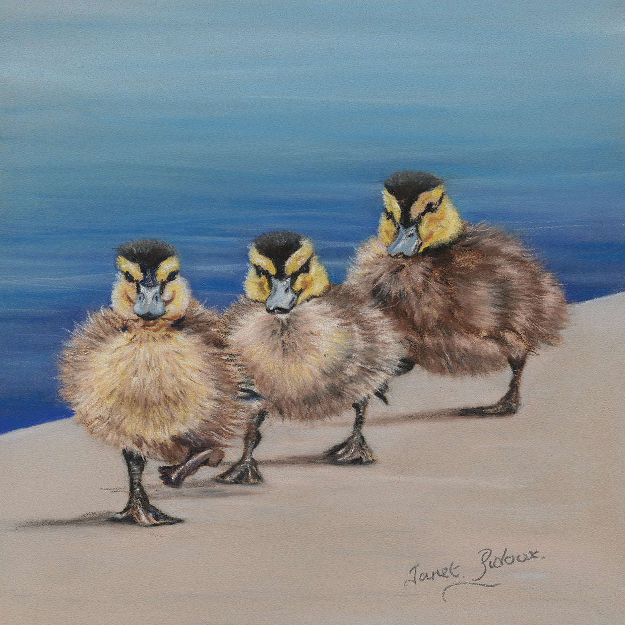 Left Right, Left Right