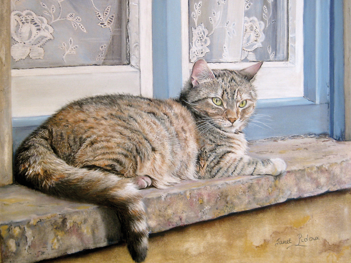 Windowsill