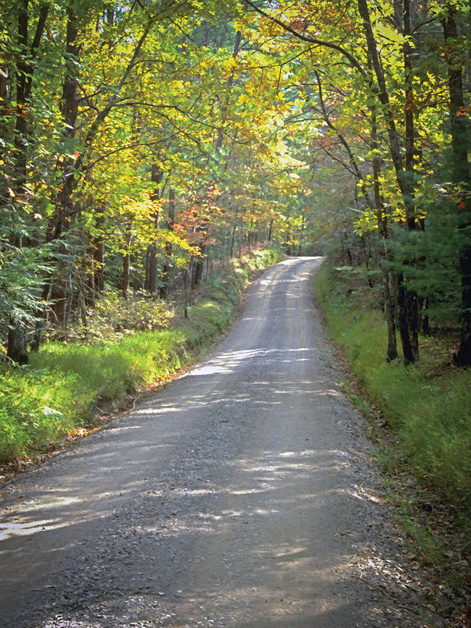 Sparks Lane