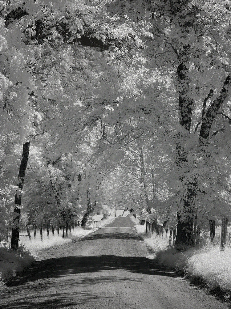 B&W Road