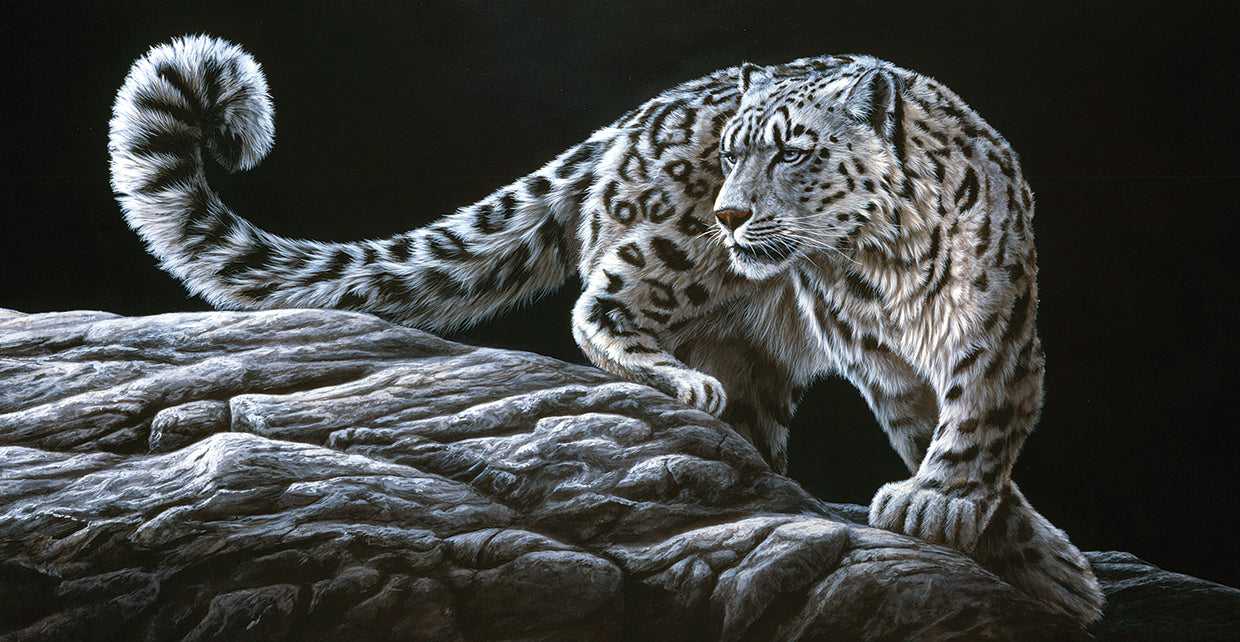 Snow Leopard