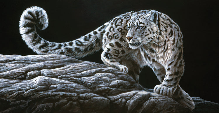 Snow Leopard