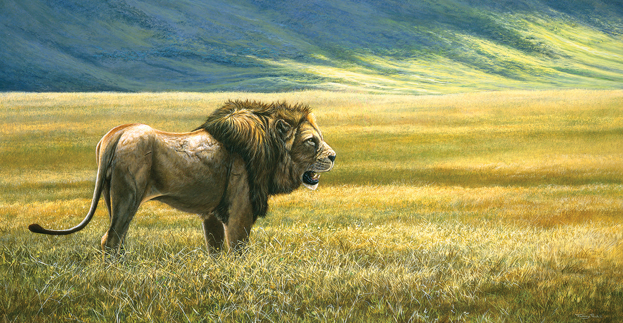 His Domain Lion