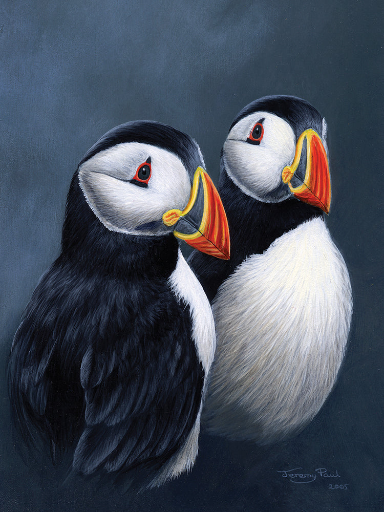 Puffins