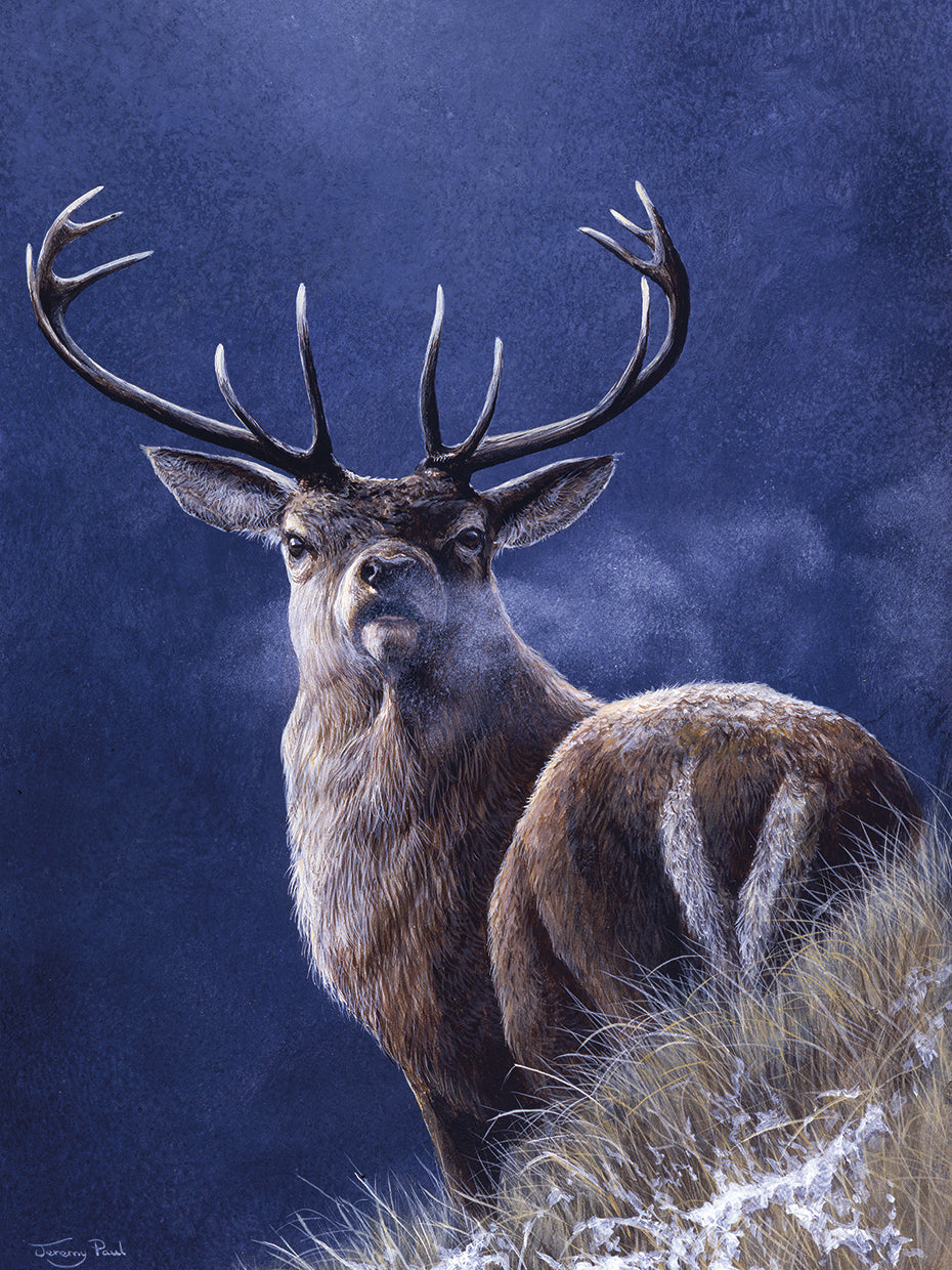 Stag