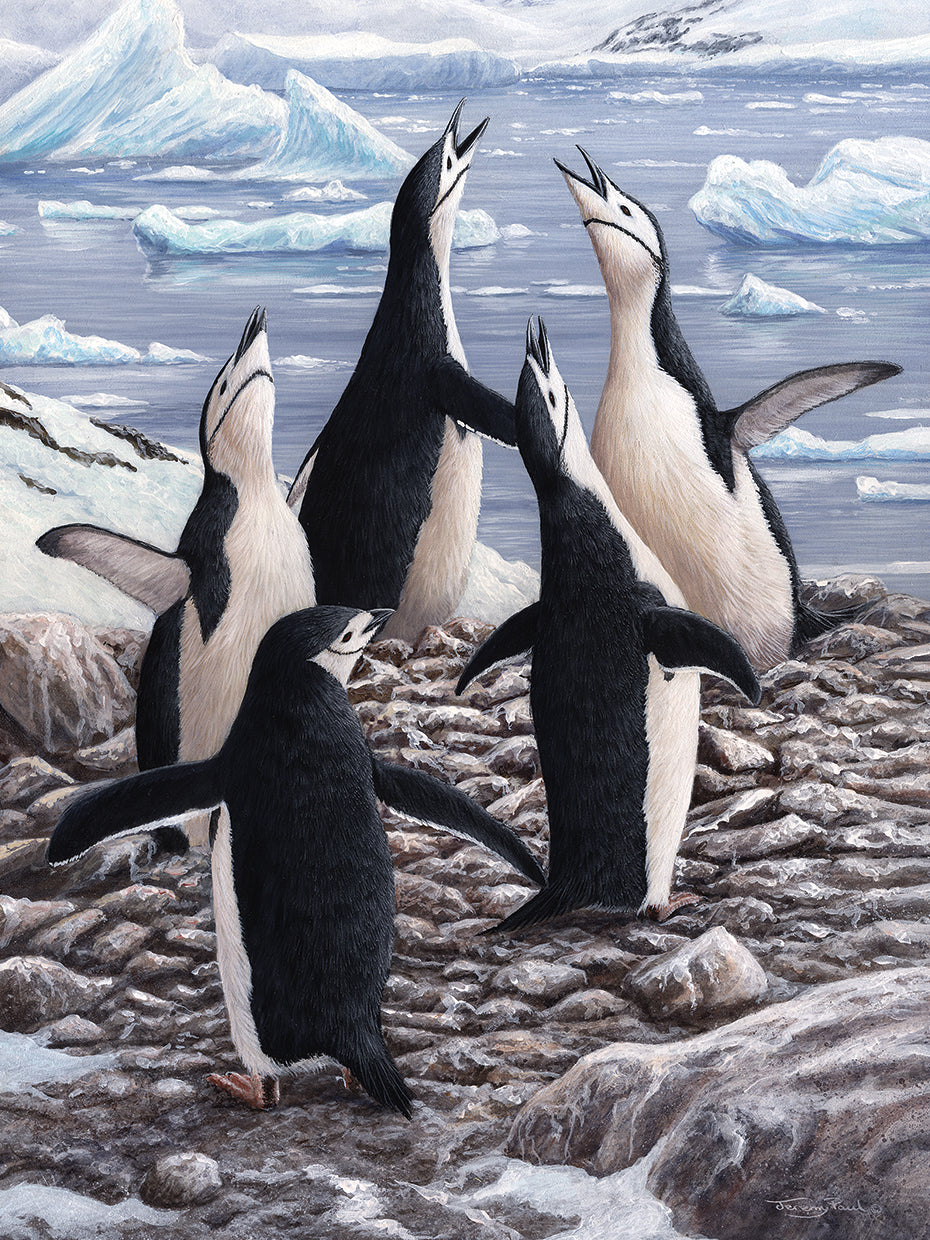 Chorus Chinstrap Penguins