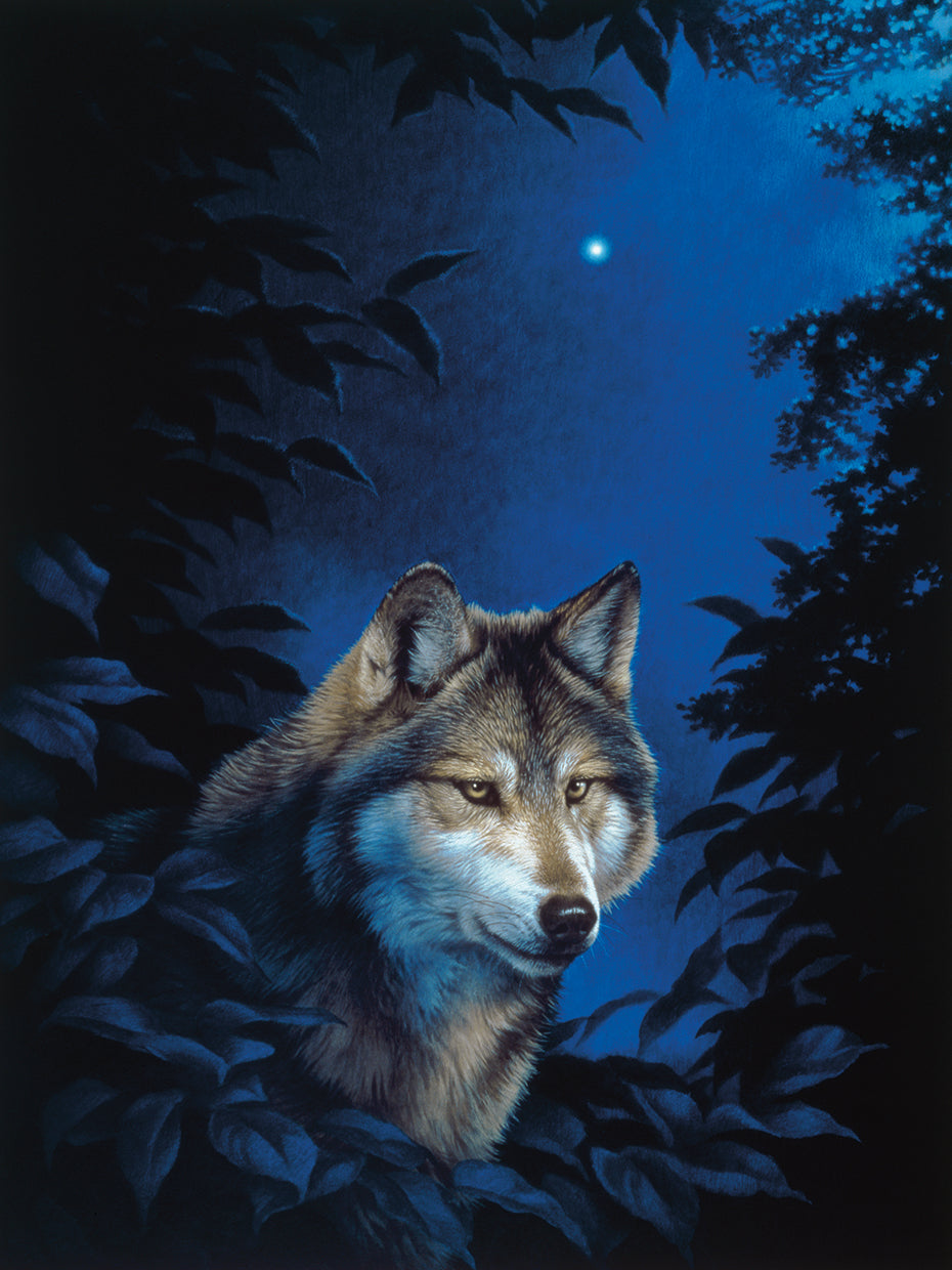 Blue Forest