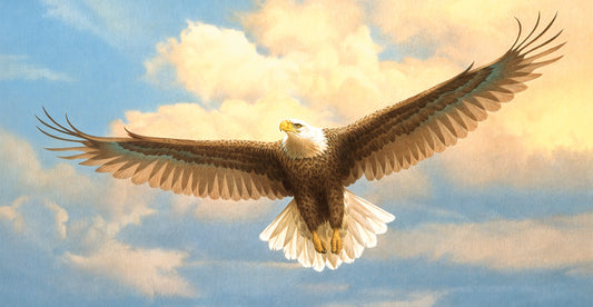 Bald Eagle Canvas Art