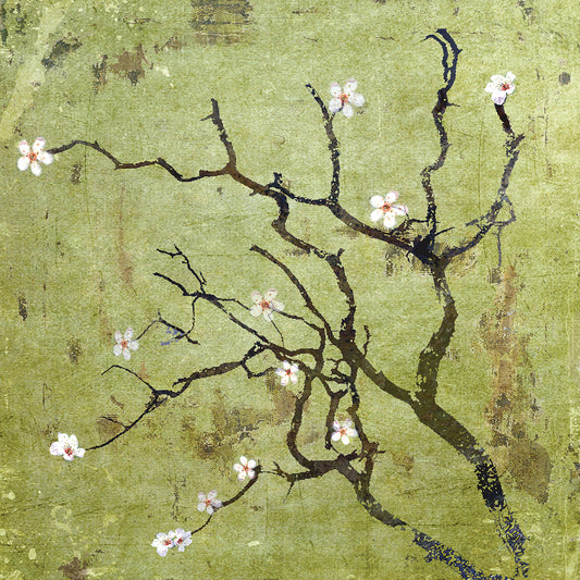 Cherry Tree I Canvas Print