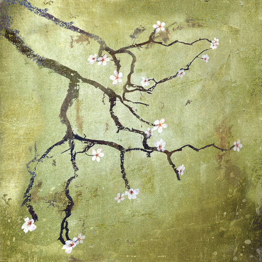 Cherry Tree II Canvas Print
