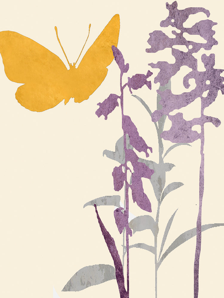 Butterfly and Flowers