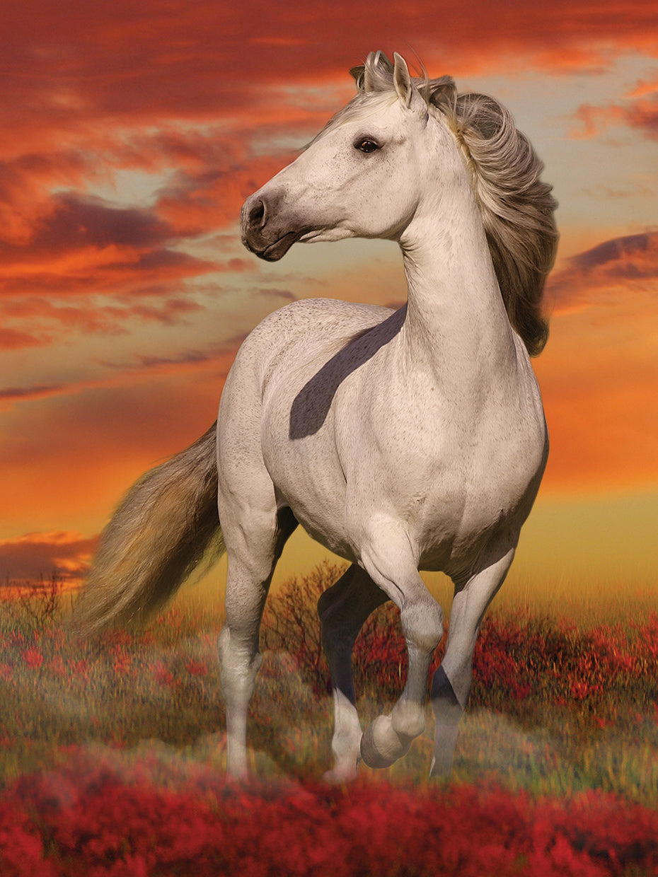 Fantasy Horses 38