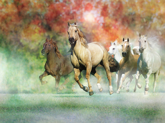 Dream Horses 022 Canvas Art