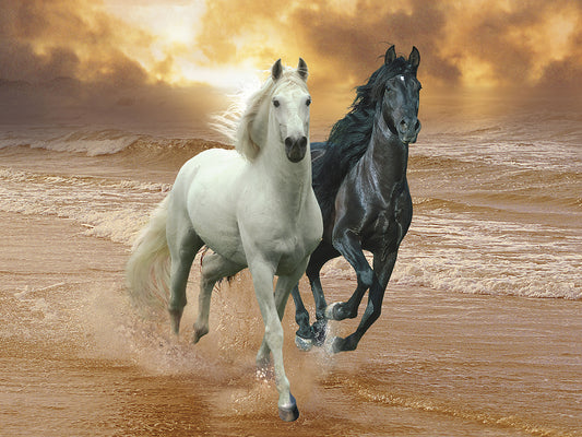 Dream Horses 046 Canvas Art