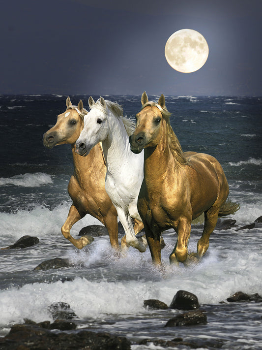 Dream Horses 068 Canvas Art