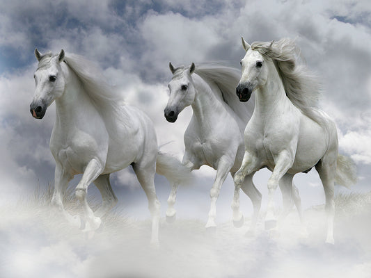 Dream Horses 087