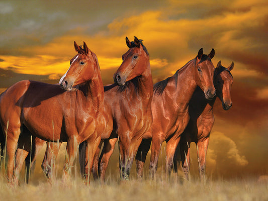 Fantasy Horses # 1 Canvas Art