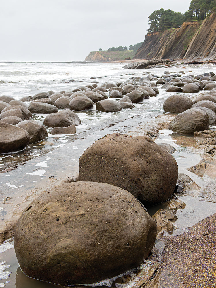 Boulder Strewn Beach