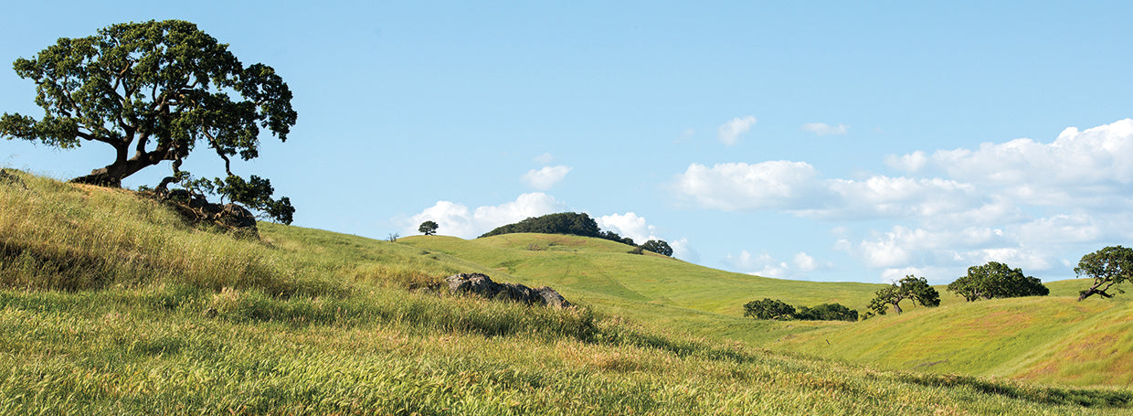 Petaluma Hills
