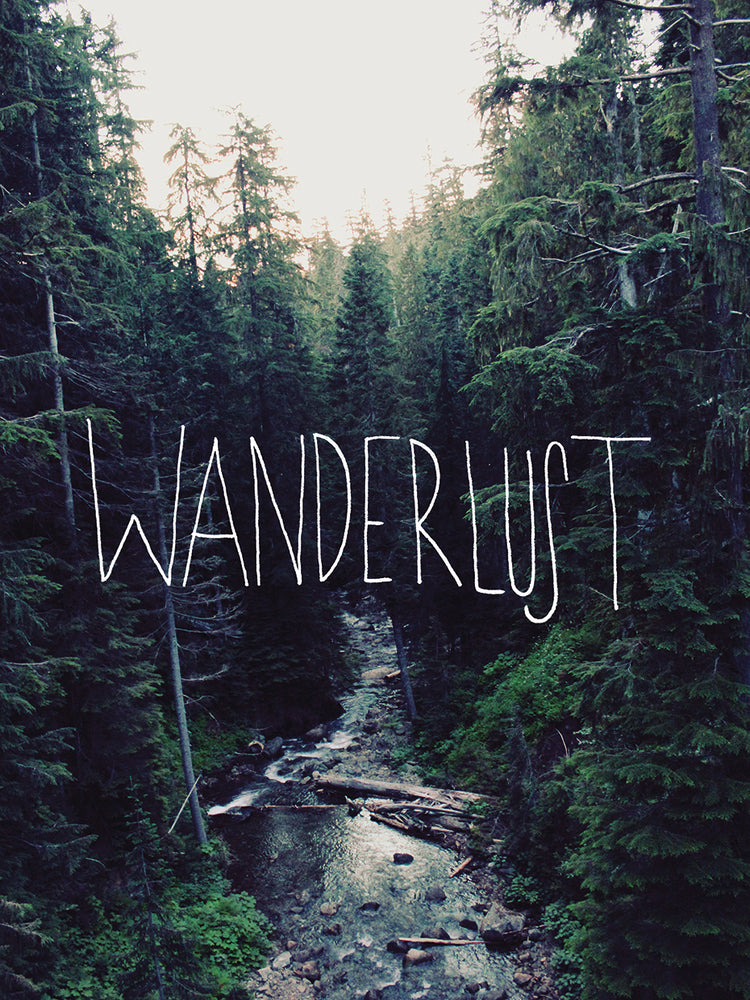 Wanderlust Rainier Creek