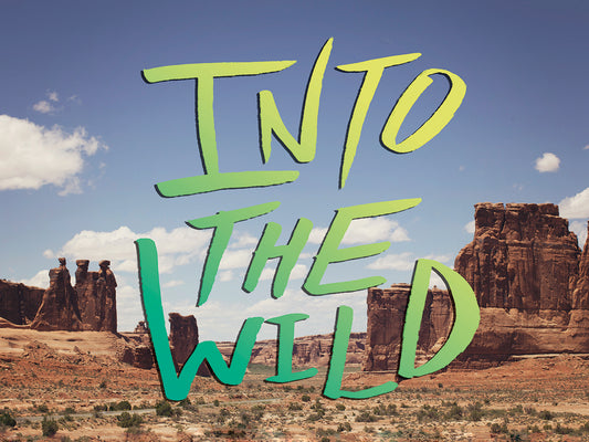 Into the Wild (Moab) Canvas Art