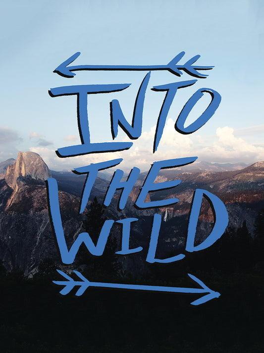 Into the Wild (Yosemite) Canvas Art