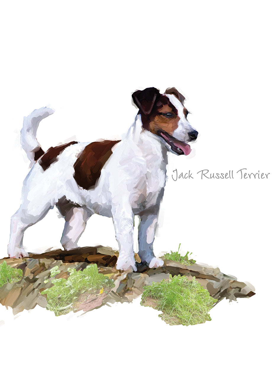 Jack Russel