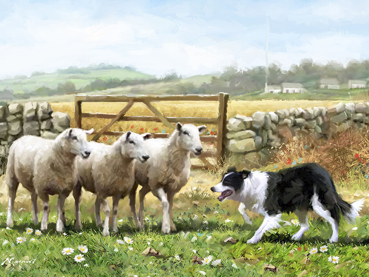 Sheepdog With Sheep