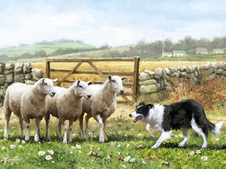 Sheepdog With Sheep