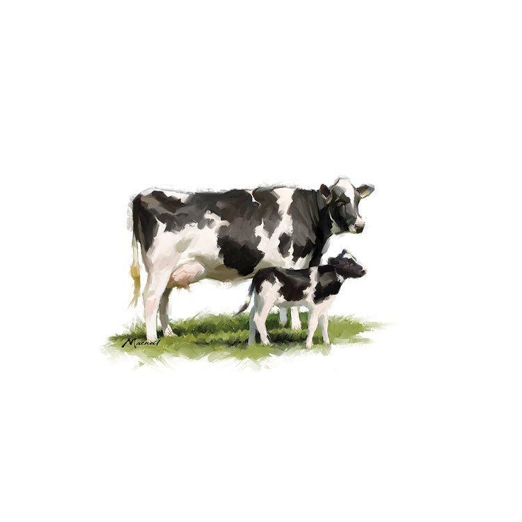Cow With Calf