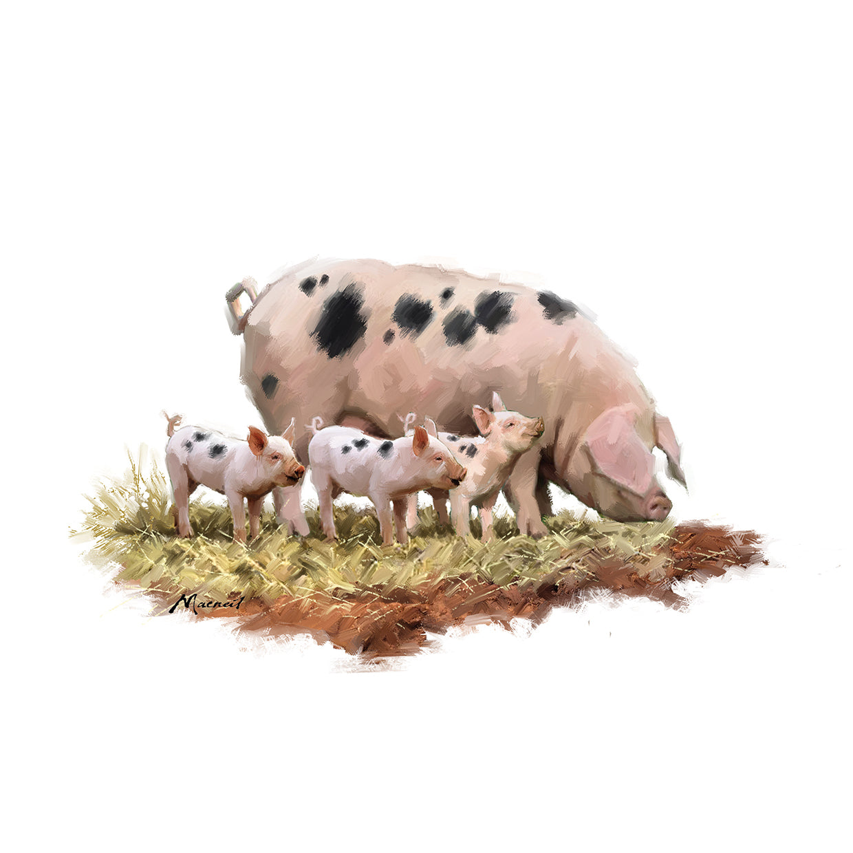 Pig With Piglets