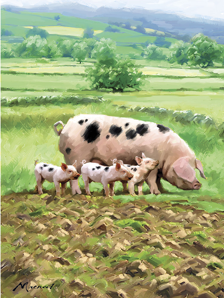 Pig And Piglets