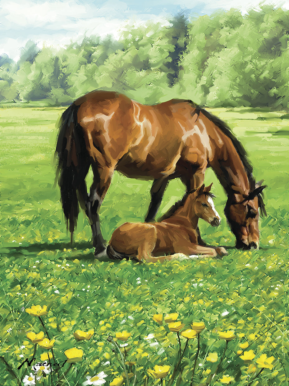 Horse And Foal