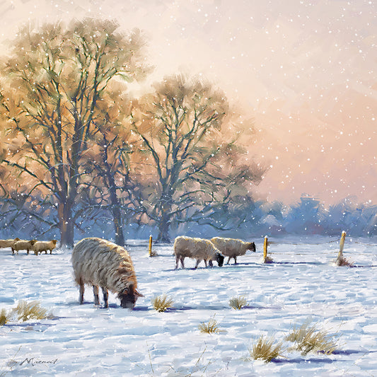 Winter Sheep Canvas Print